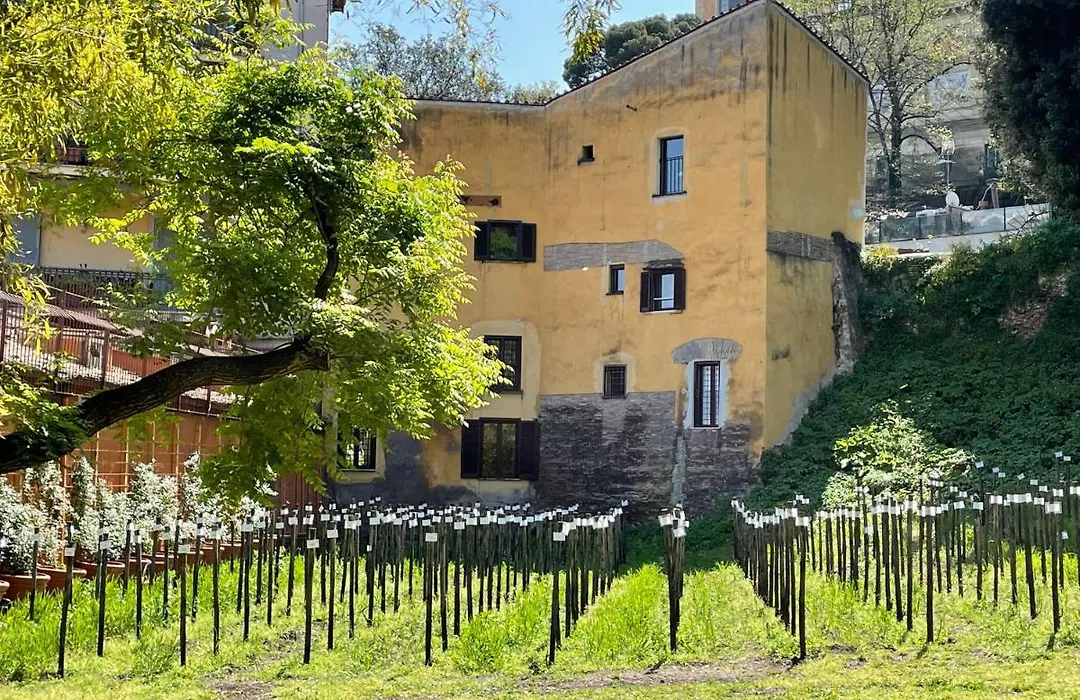 Il Mulino Di Trastevere - My Extra Home-1